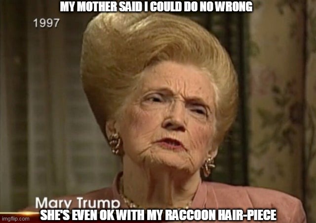 MY MOTHER SAID I COULD DO NO WRONG; SHE'S EVEN OK WITH MY RACCOON HAIR-PIECE | image tagged in trumps mom | made w/ Imgflip meme maker