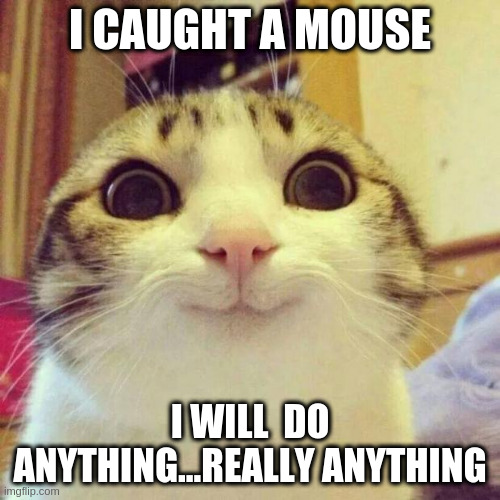 Smiling Cat Meme | I CAUGHT A MOUSE; I WILL  DO ANYTHING...REALLY ANYTHING | image tagged in memes,smiling cat | made w/ Imgflip meme maker