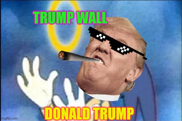 trump memes | TRUMP WALL; DONALD TRUMP | image tagged in sonic derp,donald trump | made w/ Imgflip meme maker