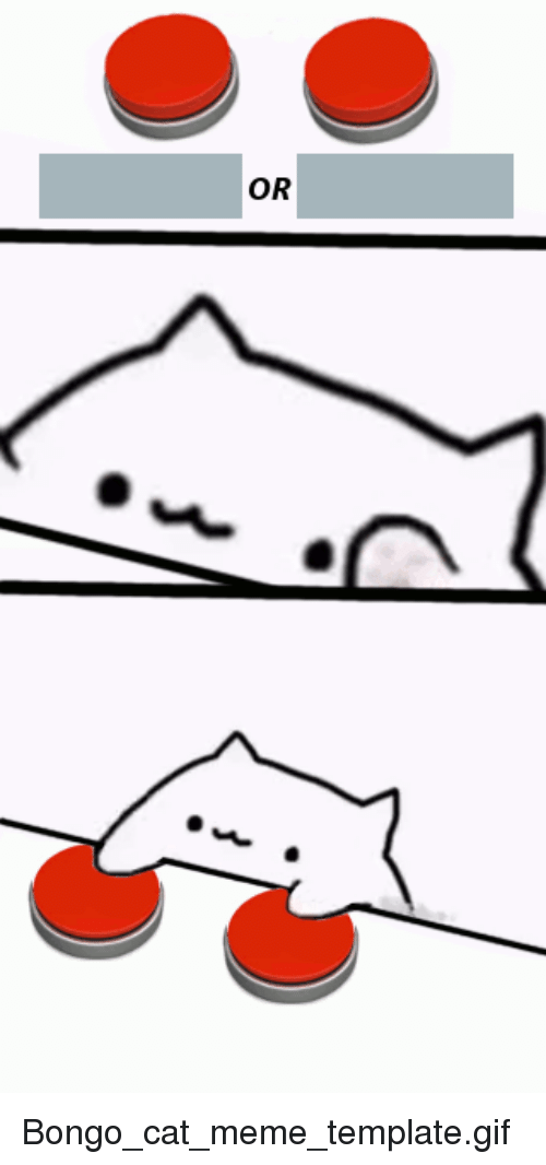 High Quality Kitty Decisions Blank Meme Template