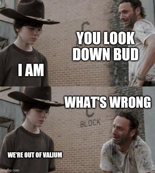Rick and Carl Meme | YOU LOOK DOWN BUD; I AM; WHAT'S WRONG; WE'RE OUT OF VALIUM | image tagged in memes,rick and carl | made w/ Imgflip meme maker