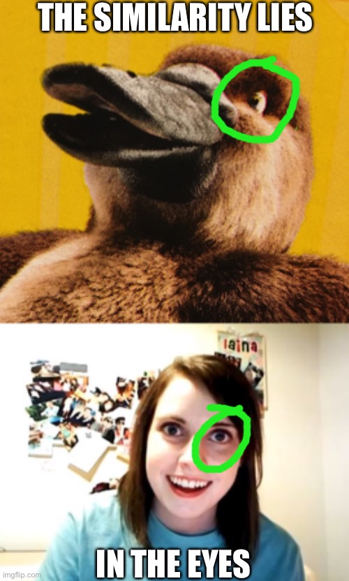 Notice the similarity? | THE SIMILARITY LIES; IN THE EYES | image tagged in memes,overly attached girlfriend,platypus,eyes | made w/ Imgflip meme maker