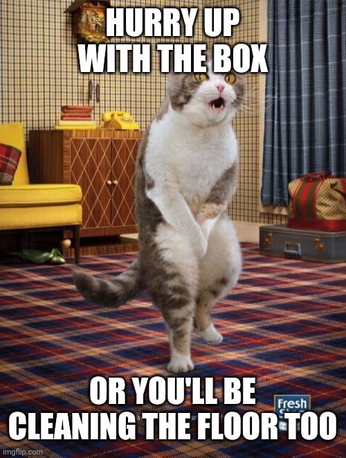 Gotta Go Cat | HURRY UP WITH THE BOX; OR YOU'LL BE CLEANING THE FLOOR TOO | image tagged in memes,gotta go cat | made w/ Imgflip meme maker