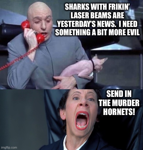 Dr Evil and Frau | SHARKS WITH FRIKIN’ LASER BEAMS ARE YESTERDAY’S NEWS.  I NEED SOMETHING A BIT MORE EVIL SEND IN THE MURDER HORNETS! | image tagged in dr evil and frau | made w/ Imgflip meme maker