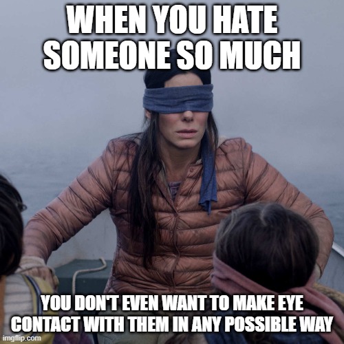 Bird Box Meme | WHEN YOU HATE SOMEONE SO MUCH; YOU DON'T EVEN WANT TO MAKE EYE CONTACT WITH THEM IN ANY POSSIBLE WAY | image tagged in memes,bird box,bird box blindfold | made w/ Imgflip meme maker