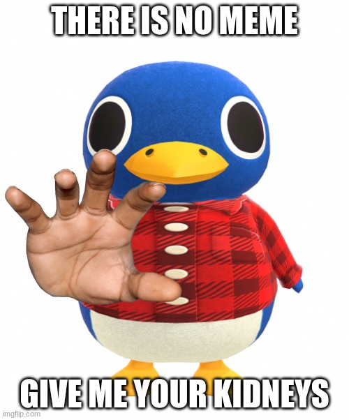 Roald from Animal Crossing | THERE IS NO MEME; GIVE ME YOUR KIDNEYS | image tagged in roald | made w/ Imgflip meme maker