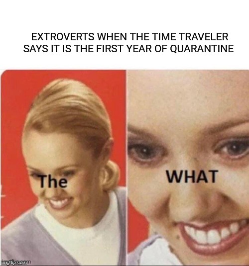 I'm back!!!! | EXTROVERTS WHEN THE TIME TRAVELER SAYS IT IS THE FIRST YEAR OF QUARANTINE | image tagged in the what | made w/ Imgflip meme maker