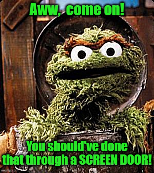 Oscar the Grouch | Aww,  come on! You should've done that through a SCREEN DOOR! | image tagged in oscar the grouch | made w/ Imgflip meme maker