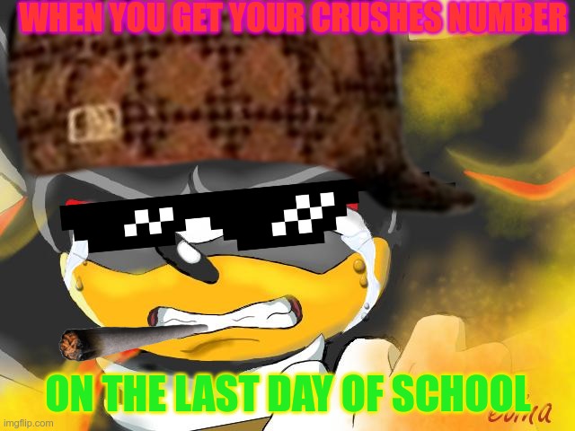 highschool crush memes | WHEN YOU GET YOUR CRUSHES NUMBER; ON THE LAST DAY OF SCHOOL | image tagged in shadow the hedgehog,crushes,high school | made w/ Imgflip meme maker