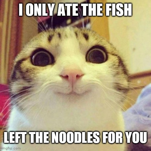 Smiling Cat Meme | I ONLY ATE THE FISH; LEFT THE NOODLES FOR YOU | image tagged in memes,smiling cat | made w/ Imgflip meme maker