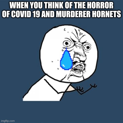 Y U No | WHEN YOU THINK OF THE HORROR OF COVID 19 AND MURDERER HORNETS | image tagged in memes,y u no | made w/ Imgflip meme maker