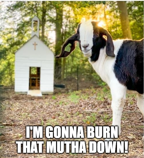 Goat Mischief | I'M GONNA BURN THAT MUTHA DOWN! | image tagged in funny animal meme | made w/ Imgflip meme maker
