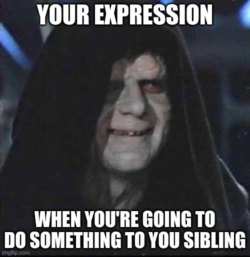 Dat look we get | YOUR EXPRESSION; WHEN YOU'RE GOING TO DO SOMETHING TO YOU SIBLING | image tagged in memes,sidious error | made w/ Imgflip meme maker