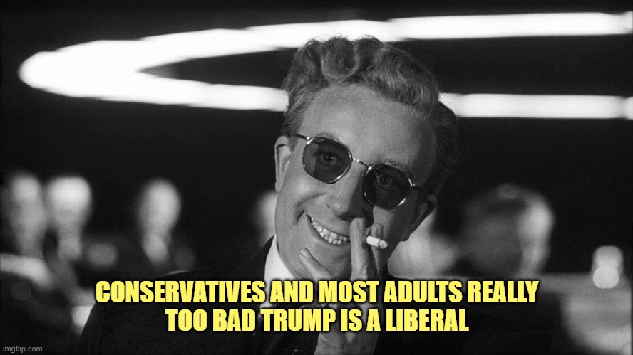 Doctor Strangelove says... | CONSERVATIVES AND MOST ADULTS REALLY
TOO BAD TRUMP IS A LIBERAL | image tagged in doctor strangelove says | made w/ Imgflip meme maker