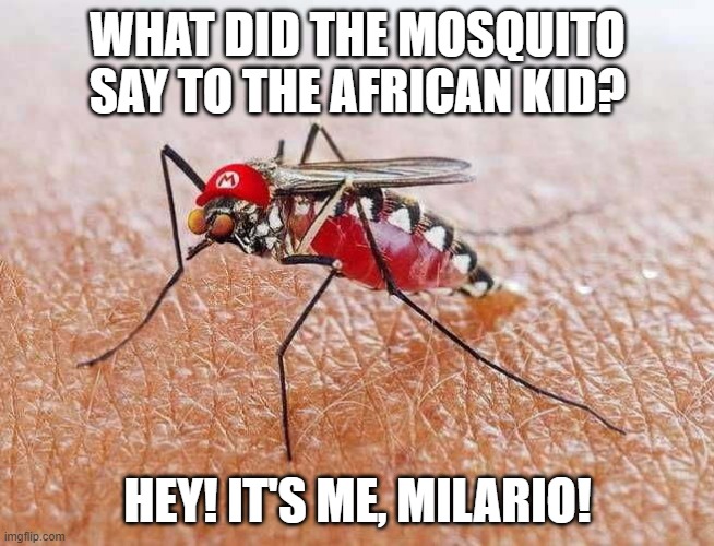 Just a Bite Will Do | WHAT DID THE MOSQUITO SAY TO THE AFRICAN KID? HEY! IT'S ME, MILARIO! | image tagged in funny meme,dark humor | made w/ Imgflip meme maker
