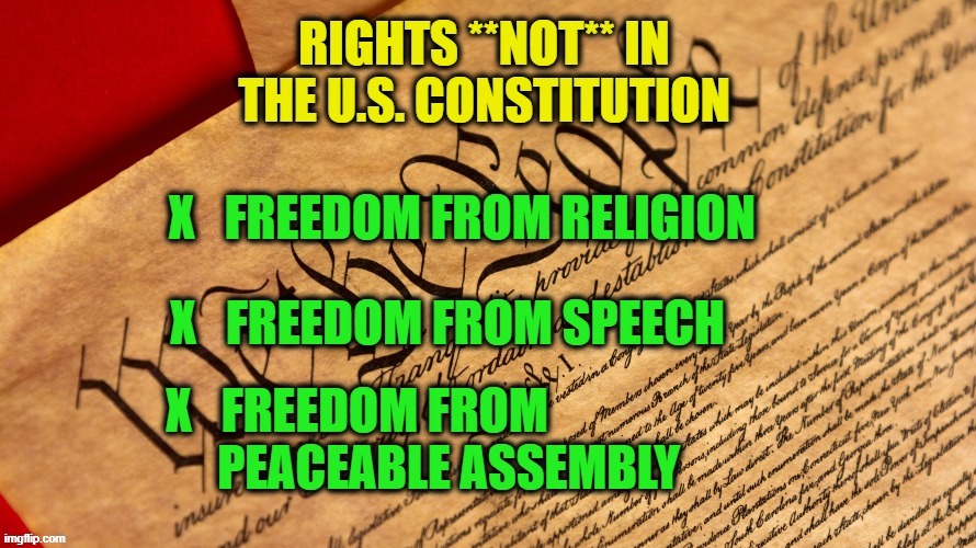 Attn: Left-Wingers/Liberals | image tagged in constitution | made w/ Imgflip meme maker
