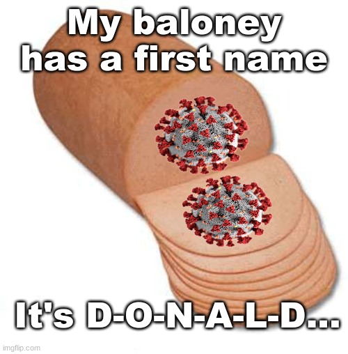baloney | My baloney has a first name; It's D-O-N-A-L-D... | image tagged in baloney | made w/ Imgflip meme maker