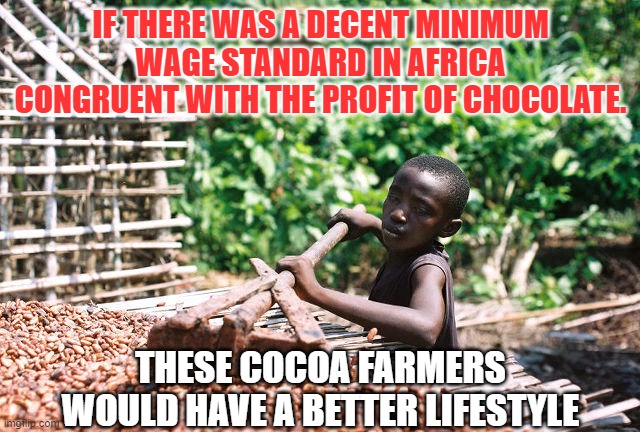 Maybe up the minimum wage for farmers in Africa? | IF THERE WAS A DECENT MINIMUM WAGE STANDARD IN AFRICA CONGRUENT WITH THE PROFIT OF CHOCOLATE. THESE COCOA FARMERS WOULD HAVE A BETTER LIFESTYLE | image tagged in minimum wage,chocolate,africa | made w/ Imgflip meme maker