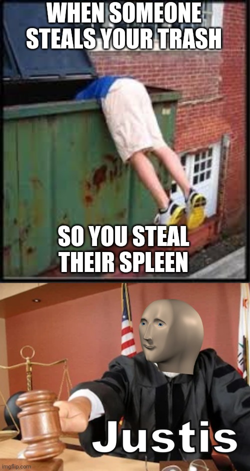 Garbage justice! | WHEN SOMEONE STEALS YOUR TRASH; SO YOU STEAL THEIR SPLEEN | image tagged in garbage,meme man justis,memes,justice,trash,stealing | made w/ Imgflip meme maker