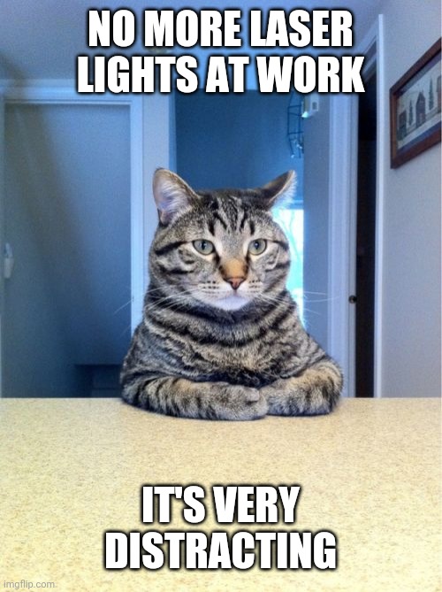 Take A Seat Cat | NO MORE LASER LIGHTS AT WORK; IT'S VERY DISTRACTING | image tagged in memes,take a seat cat | made w/ Imgflip meme maker