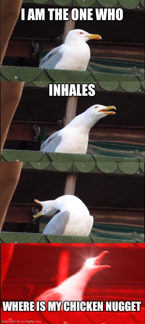 Public Title As Nothing | I AM THE ONE WHO; INHALES; WHERE IS MY CHICKEN NUGGET | image tagged in memes,inhaling seagull | made w/ Imgflip meme maker