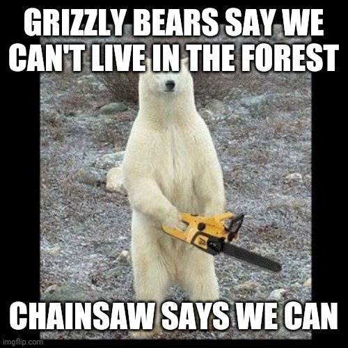 Chainsaw Bear Meme | GRIZZLY BEARS SAY WE CAN'T LIVE IN THE FOREST; CHAINSAW SAYS WE CAN | image tagged in memes,chainsaw bear | made w/ Imgflip meme maker