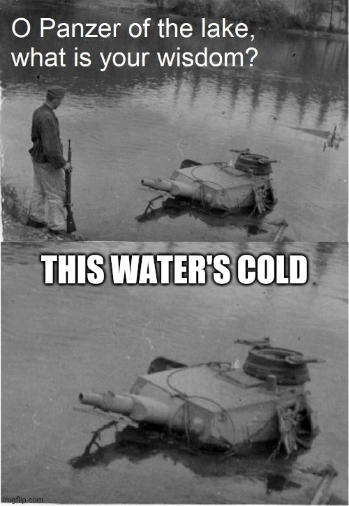 Cold waterYesYes I didThis is stupid | THIS WATER'S COLD | image tagged in o panzer of the lake,water,cold,memes | made w/ Imgflip meme maker