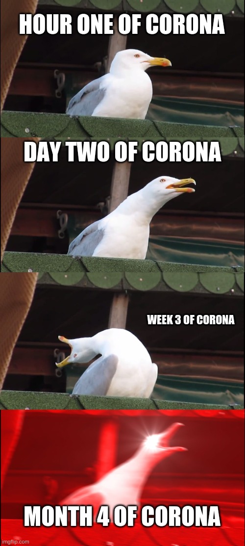 Inhaling Seagull | HOUR ONE OF CORONA; DAY TWO OF CORONA; WEEK 3 OF CORONA; MONTH 4 OF CORONA | image tagged in memes,inhaling seagull | made w/ Imgflip meme maker