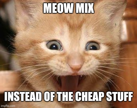 Excited Cat Meme | MEOW MIX; INSTEAD OF THE CHEAP STUFF | image tagged in memes,excited cat | made w/ Imgflip meme maker