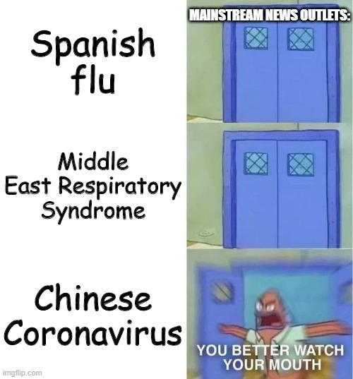 You Better Watch Your Mouth 3 panels | Spanish flu; MAINSTREAM NEWS OUTLETS:; Middle East Respiratory Syndrome; Chinese Coronavirus | image tagged in you better watch your mouth 3 panels | made w/ Imgflip meme maker