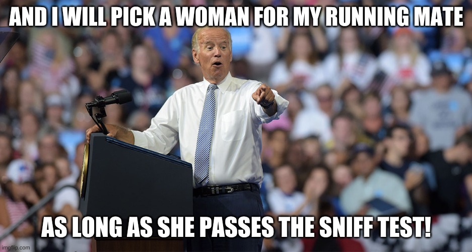 Joe Biden | AND I WILL PICK A WOMAN FOR MY RUNNING MATE; AS LONG AS SHE PASSES THE SNIFF TEST! | image tagged in joe biden | made w/ Imgflip meme maker