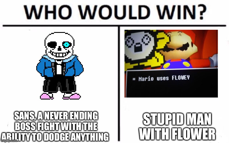 It’s so much clearer why sans doesn’t like flowey | SANS, A NEVER ENDING BOSS FIGHT WITH THE ABILITY TO DODGE ANYTHING; STUPID MAN WITH FLOWER | image tagged in memes,who would win | made w/ Imgflip meme maker