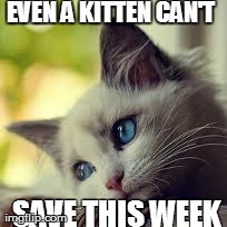 Even a kitten can't save this week | image tagged in lolcats,sad cat | made w/ Imgflip meme maker