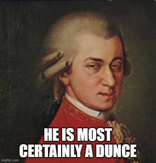 Mozart Not Sure Meme | HE IS MOST CERTAINLY A DUNCE | image tagged in memes,mozart not sure | made w/ Imgflip meme maker