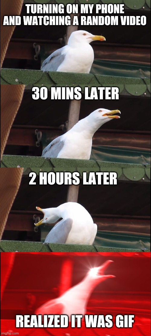 Inhaling Seagull Meme | TURNING ON MY PHONE AND WATCHING A RANDOM VIDEO; 30 MINS LATER; 2 HOURS LATER; REALIZED IT WAS GIF | image tagged in memes,inhaling seagull | made w/ Imgflip meme maker