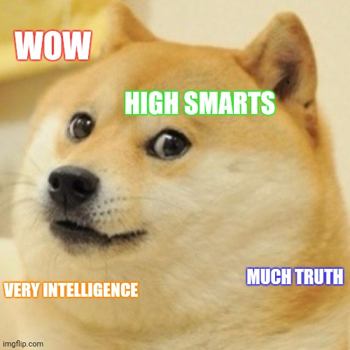 wow doge | WOW MUCH TRUTH VERY INTELLIGENCE HIGH SMARTS | image tagged in wow doge | made w/ Imgflip meme maker
