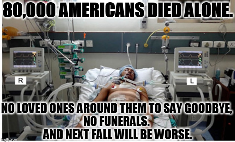 Pandemics always come in waves. This is only the first one. Next fall/winter will be worse. But Donald is waiting for a miracle. | 80,000 AMERICANS DIED ALONE. NO LOVED ONES AROUND THEM TO SAY GOODBYE, 
NO FUNERALS. 
AND NEXT FALL WILL BE WORSE. | image tagged in coronavirus,covid-19,death,pandemic,epidemic,trump | made w/ Imgflip meme maker