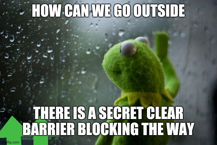 kermit window | HOW CAN WE GO OUTSIDE THERE IS A SECRET CLEAR BARRIER BLOCKING THE WAY | image tagged in kermit window | made w/ Imgflip meme maker