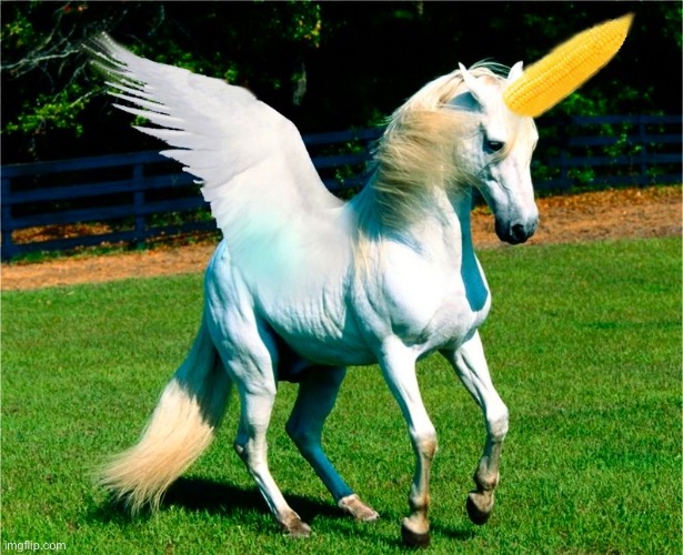 Unicorn on the cob  | image tagged in unicorn on the cob | made w/ Imgflip meme maker
