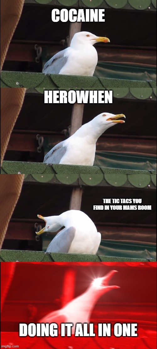 drug | COCAINE; HEROWHEN; THE TIC TACS YOU FIND IN YOUR MAMS ROOM; DOING IT ALL IN ONE | image tagged in memes,inhaling seagull | made w/ Imgflip meme maker