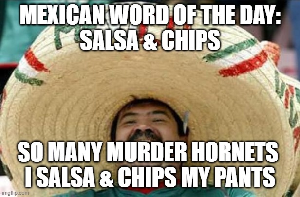 Salsa & Chips | MEXICAN WORD OF THE DAY:
SALSA & CHIPS; SO MANY MURDER HORNETS 
I SALSA & CHIPS MY PANTS | image tagged in mexican word of the day | made w/ Imgflip meme maker