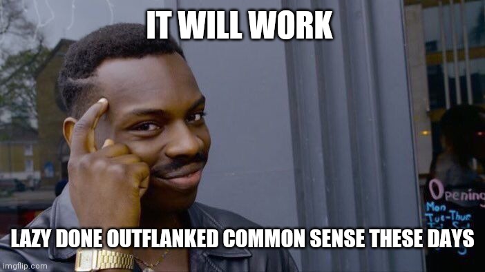 Roll Safe Think About It Meme | IT WILL WORK LAZY DONE OUTFLANKED COMMON SENSE THESE DAYS | image tagged in memes,roll safe think about it | made w/ Imgflip meme maker