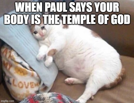 Fat Cat Crying | WHEN PAUL SAYS YOUR BODY IS THE TEMPLE OF GOD | image tagged in fat cat crying,religion,christianity,paul,god | made w/ Imgflip meme maker