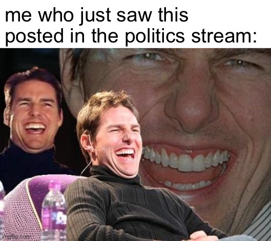 Tom Cruise laugh | me who just saw this posted in the politics stream: | image tagged in tom cruise laugh | made w/ Imgflip meme maker