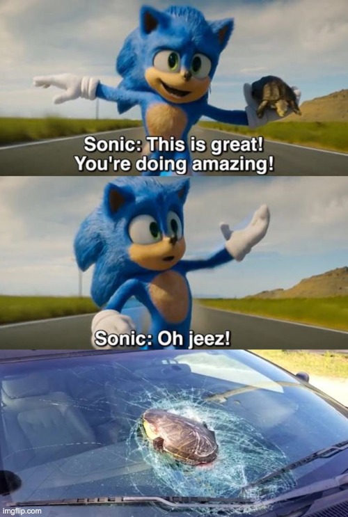 what really happened to the turtle from the sonic movie | image tagged in memes,sonic the hedgehog,sonic movie,turtle | made w/ Imgflip meme maker