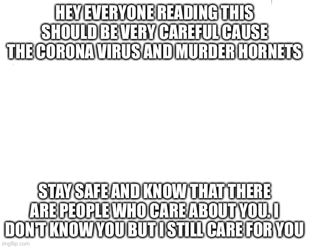 Some stuff u should know | HEY EVERYONE READING THIS SHOULD BE VERY CAREFUL CAUSE THE CORONA VIRUS AND MURDER HORNETS; STAY SAFE AND KNOW THAT THERE ARE PEOPLE WHO CARE ABOUT YOU. I DON'T KNOW YOU BUT I STILL CARE FOR YOU | image tagged in coronavirus,murder hornets,suicide,stay safe | made w/ Imgflip meme maker