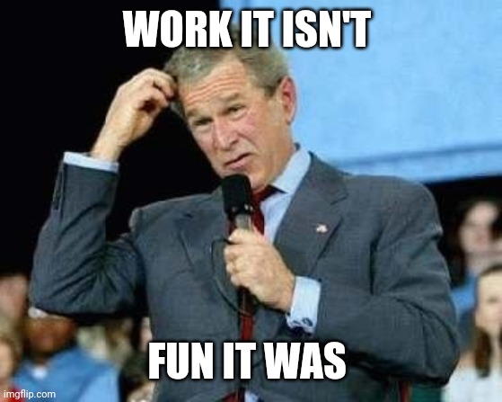 Confused Bush | WORK IT ISN'T; FUN IT WAS | image tagged in confused bush | made w/ Imgflip meme maker