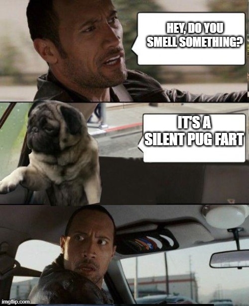 Rock driving Pug | HEY, DO YOU SMELL SOMETHING? IT'S A SILENT PUG FART | image tagged in rock driving pug | made w/ Imgflip meme maker