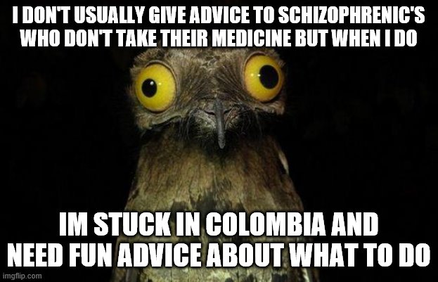 need a chain of recomendations my budget is 750 a month | I DON'T USUALLY GIVE ADVICE TO SCHIZOPHRENIC'S WHO DON'T TAKE THEIR MEDICINE BUT WHEN I DO; IM STUCK IN COLOMBIA AND NEED FUN ADVICE ABOUT WHAT TO DO | image tagged in memes,weird stuff i do potoo | made w/ Imgflip meme maker