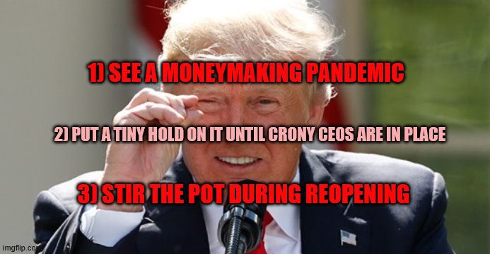 Profit Making 101 | 1) SEE A MONEYMAKING PANDEMIC; 2) PUT A TINY HOLD ON IT UNTIL CRONY CEOS ARE IN PLACE; 3) STIR THE POT DURING REOPENING | image tagged in pandemic,business,public health,marketing plans,profit,death | made w/ Imgflip meme maker